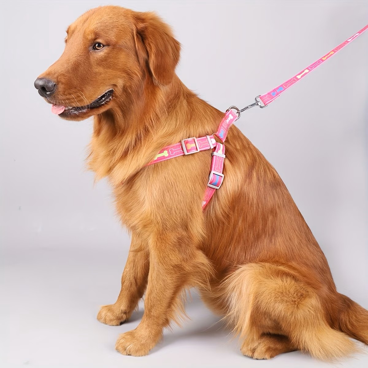 Verstellbares Hundegeschirr mi – D Ring Strap Bewertung und Preis